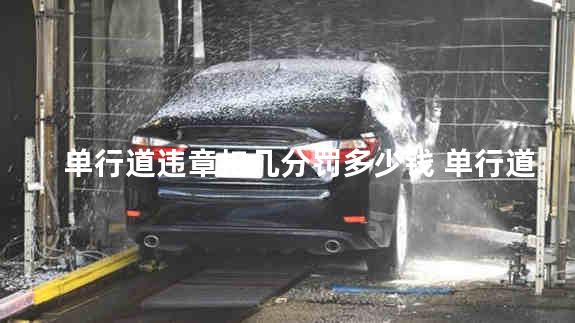 单行道违章扣几分罚多少钱 单行道违章可以找人消吗